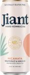 Jiant Hard Kombucha - Hicamaya Grapefruit & Hibiscus (4 pack 12oz cans)